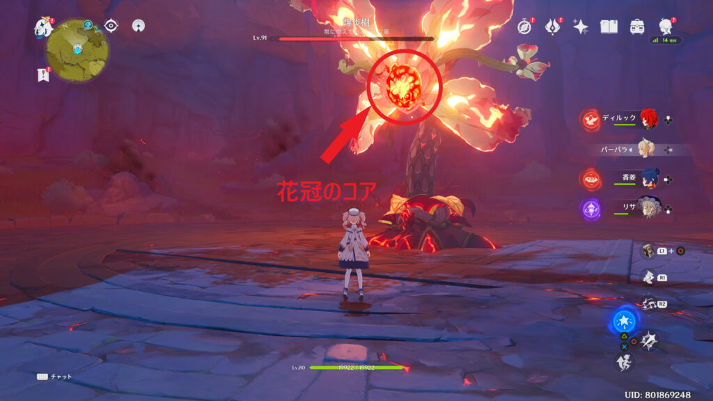 花冠のコア